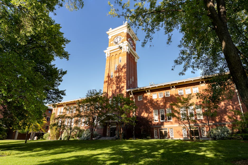 Beautiful view of the iconic clock tower at WSU under a clear blue sky, surrounded by lush greenery.